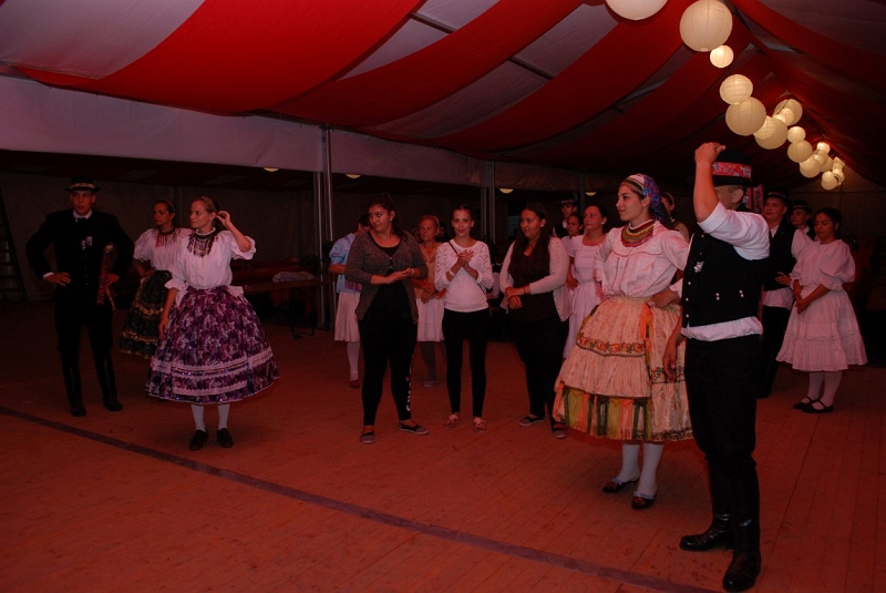 DSC_2396 (Medium).JPG
